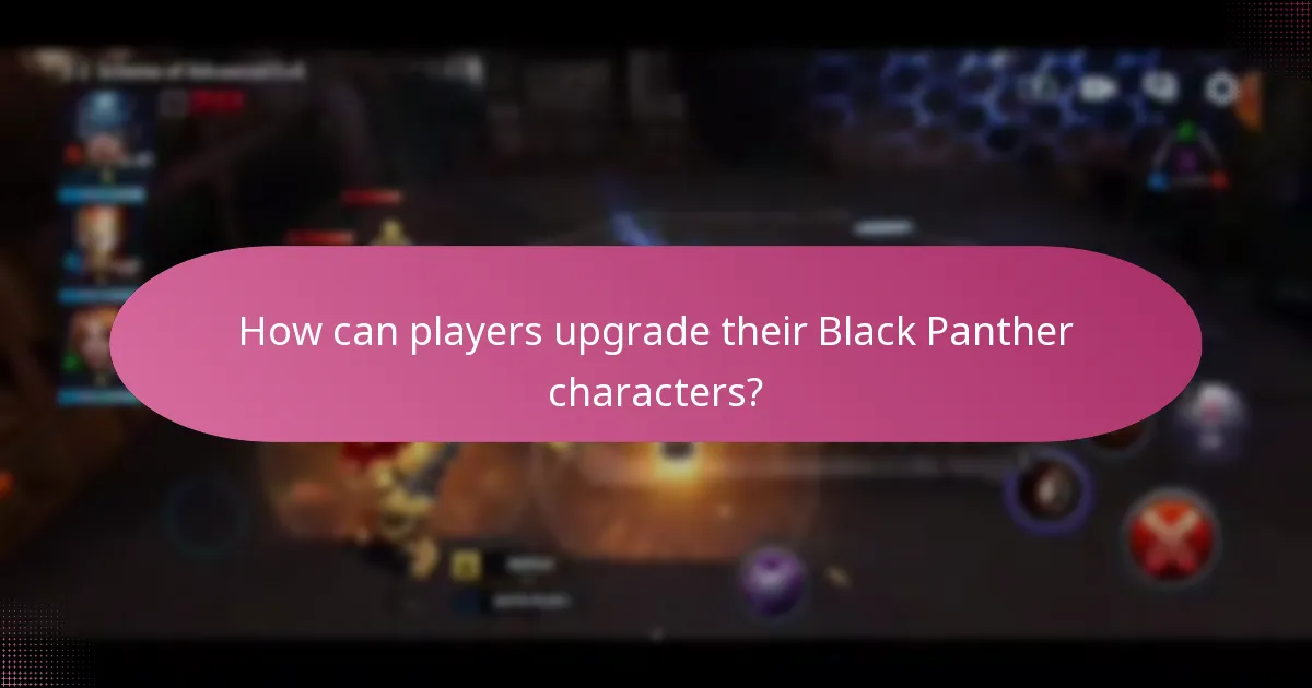 How can players upgrade their Black Panther characters?